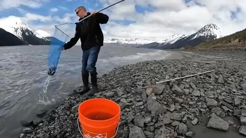 3 ### 3 Days Camping in Alaska & Eating What We Catch Shrimp, Rock Fishing and Halibut Catch & Coo