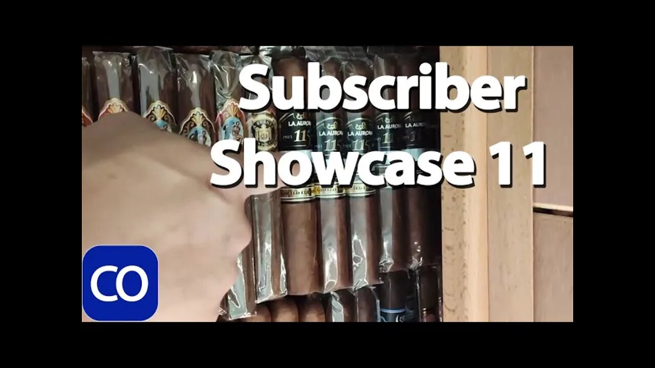 Subscriber Showcase 11 Abie Luu