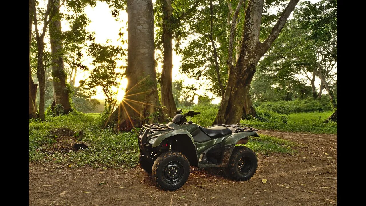 HONDA una de las mejores ATV para el fango, lodo y embarrarce Miami y Rancho Bonita Florida!