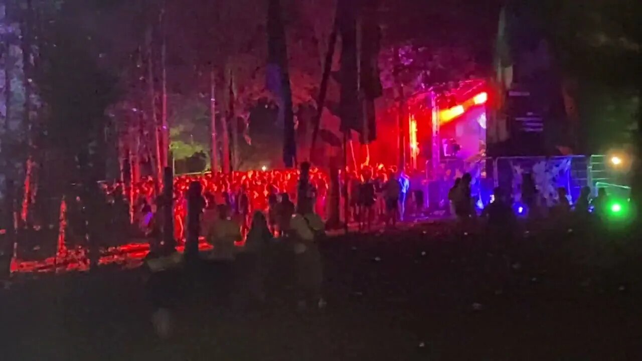 Party In The Woods Kent