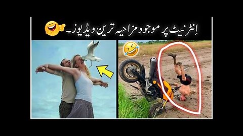 The Funniest Videos On Internet 😂 - viral funny moments caught on camera 😜