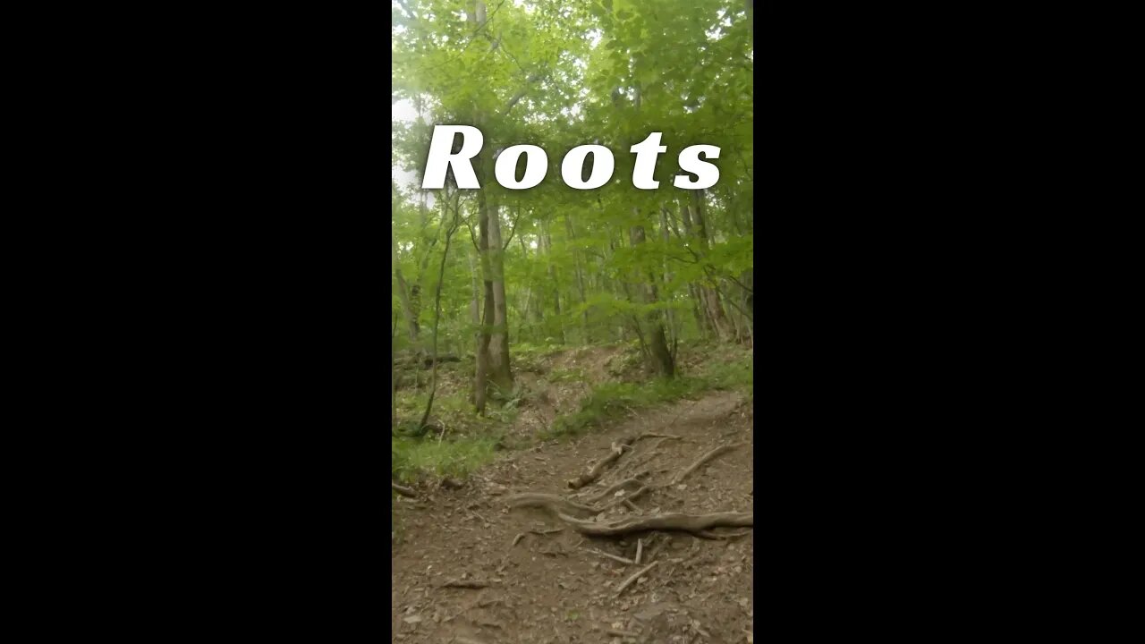 Roots - Steep Hill - Had a blast @Get Out Jeep Cherokee XJ Adventures #shorts