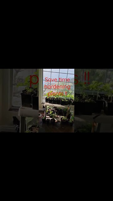 garden hack to save $$$ #shortsvideo #garden #tips #socialmedia #social @TalkwithSally