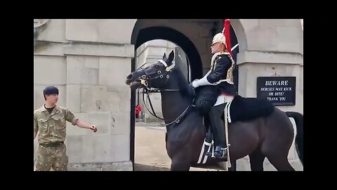 4 times horses hade a freak out #horseguardsparade