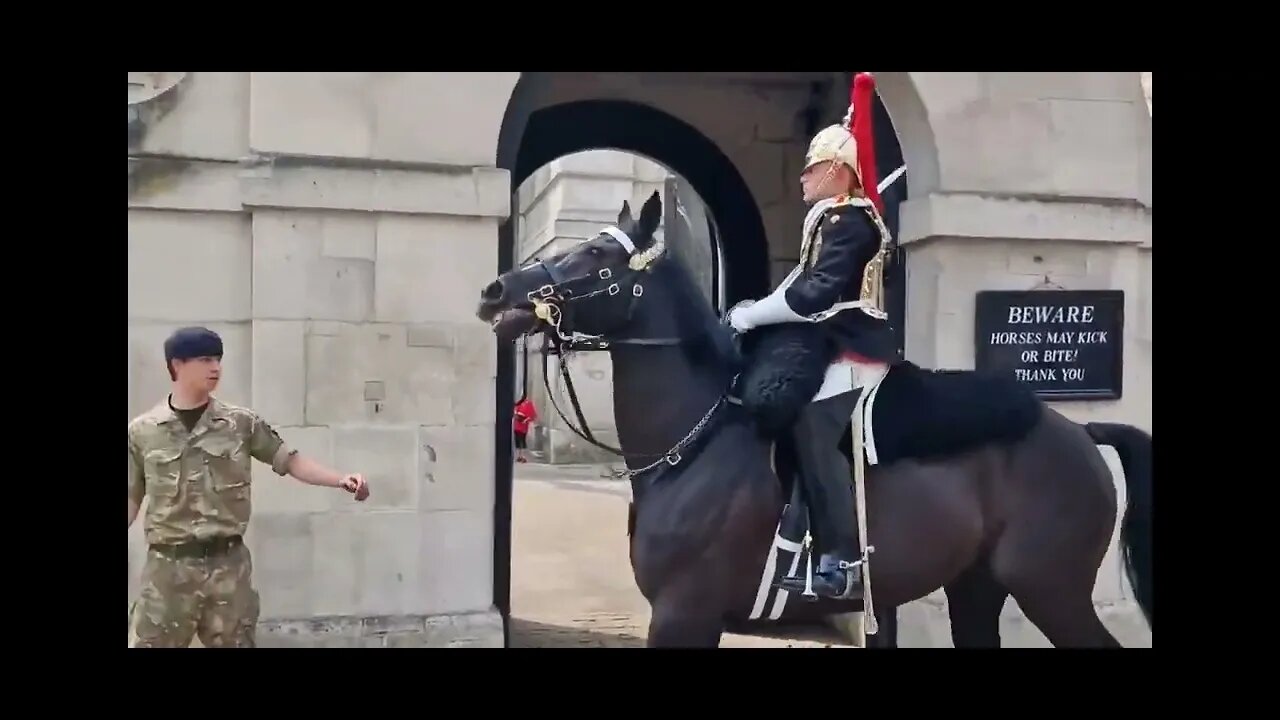 4 times horses hade a freak out #horseguardsparade