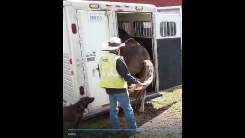 Hank - Session Two - advancing trailering skills - 27 Sept 2022