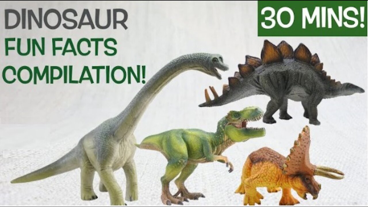 Learn about DINOSAURS! | 30 Mins Fun & Educational Compilation| Dinosaur Facts