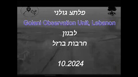 Observation Unit - Golani - Lebanon