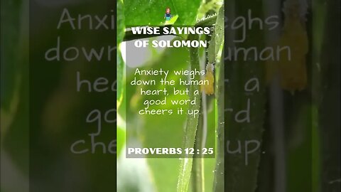 Wise Sayings of Solomon | Proverbs 12:25