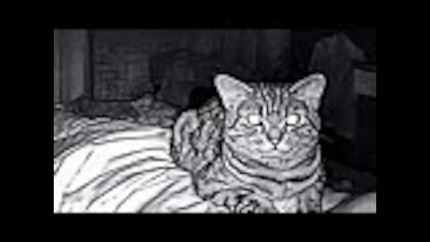 Dad Sets Up Security Camera, Regrets It When He Sees Why Cat Stares At Him