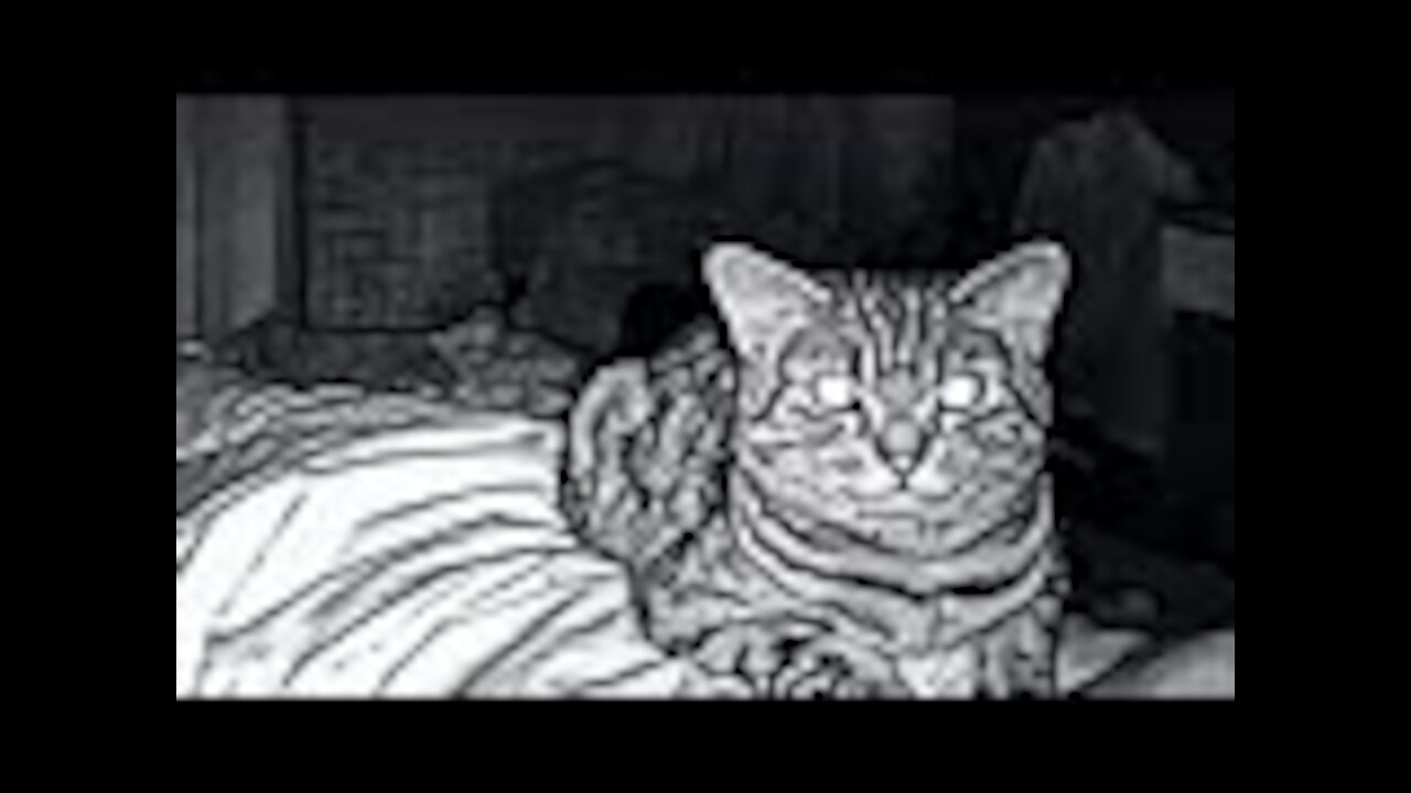 Dad Sets Up Security Camera, Regrets It When He Sees Why Cat Stares At Him