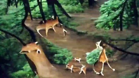 a family of deer walking through the forest