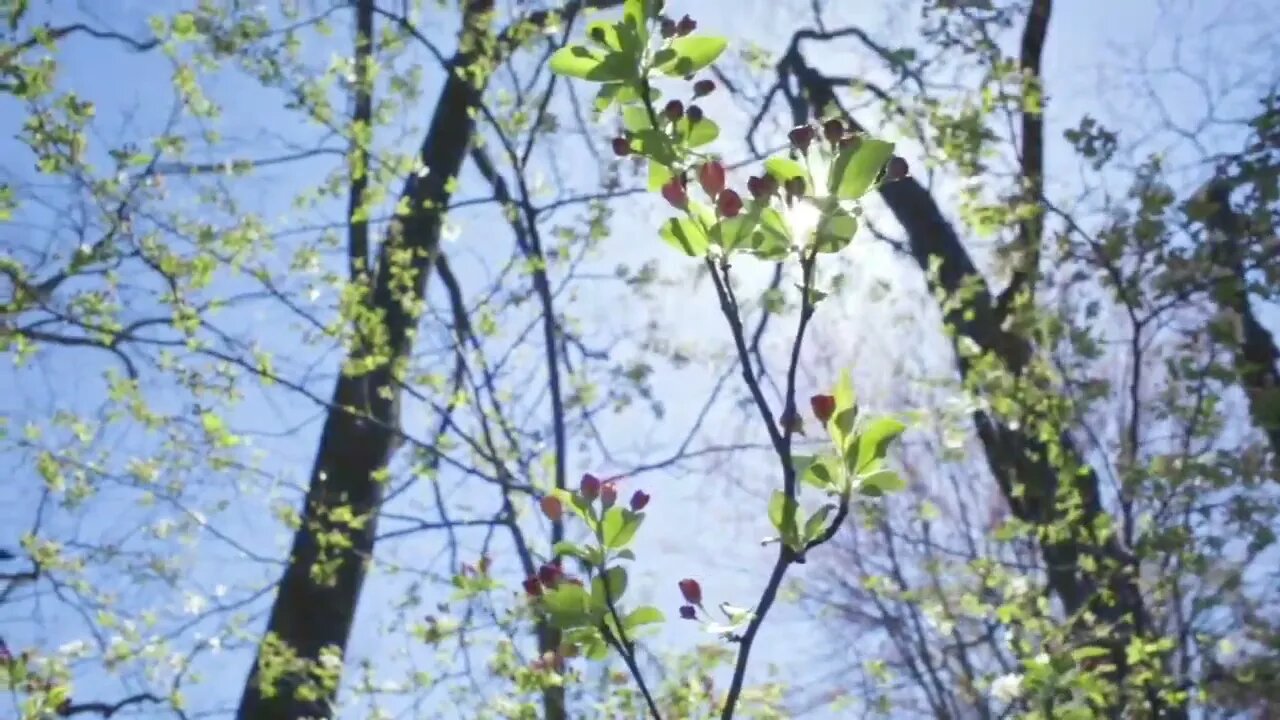 #flowerslove