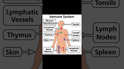 #immunesystem #health #supportmychannel #thankyou 🙏👍☺️