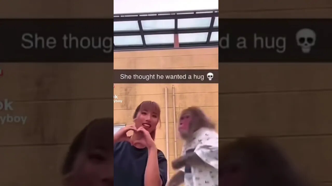 😂😂😂