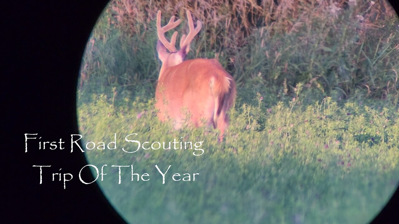 Buck Finding Mission With My Kids From The Road By Hunting Spot In Michigan - Bachelor Group Found!