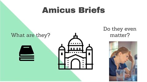 What are Amicus Briefs...and do they matter?