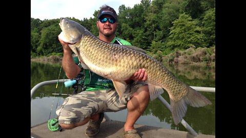 Bowfishing Grass Carp