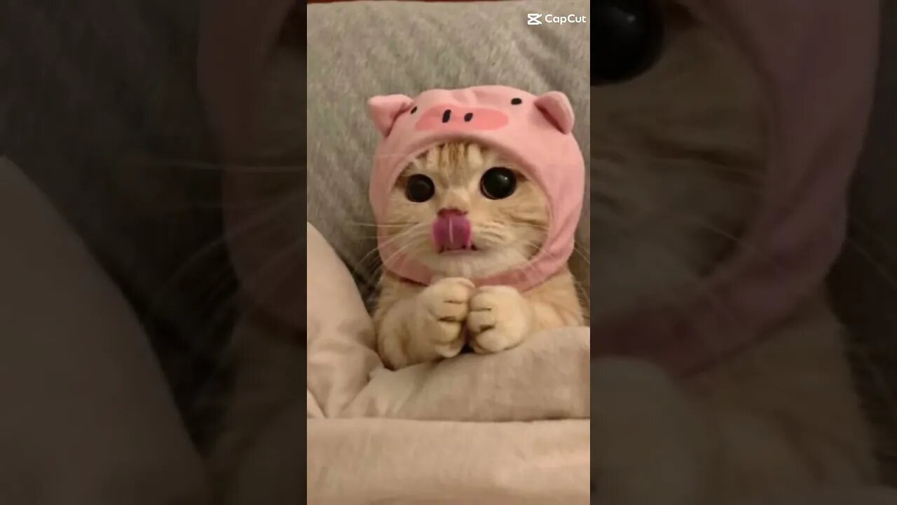 MINGALš„°