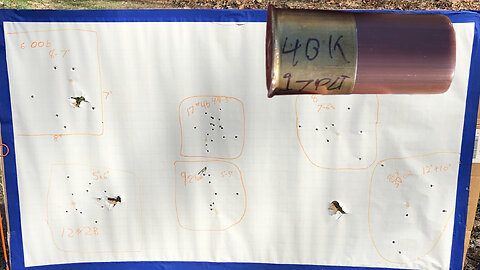 10 Gauge Mini Shell Buckshot Testing & Range Fun