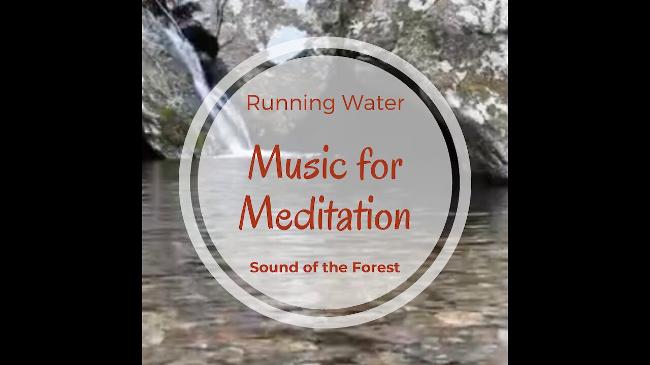 Music for Meditation at the Sound of the Forest with Birds and Running Water