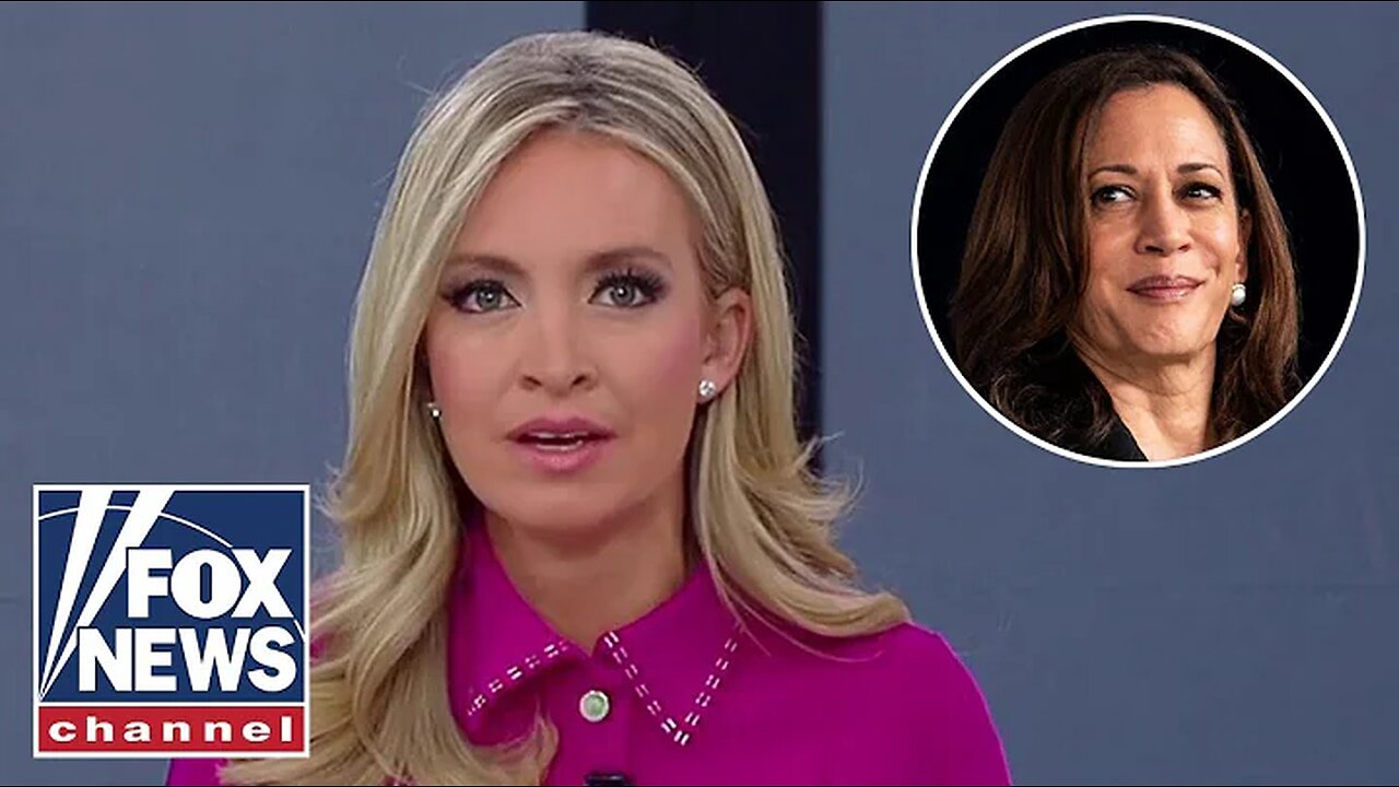 Kayleigh McEnany, hosts in disbelief over Kamala Harris' priority for intel community