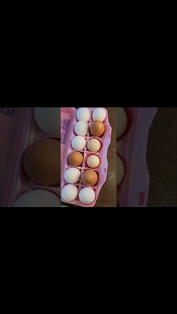 Farm Fresh Milk and Eggs Delivered To Our Door!