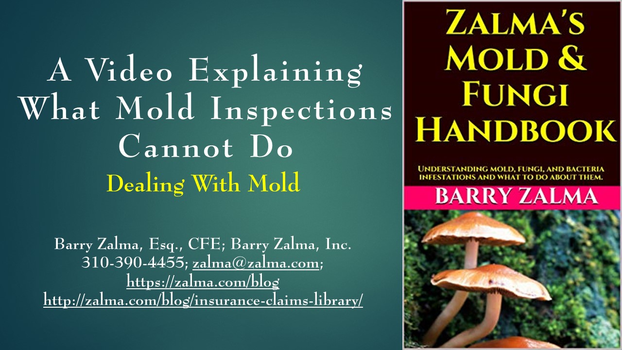 A Video Explaining What Mold Inspections Cannot Do