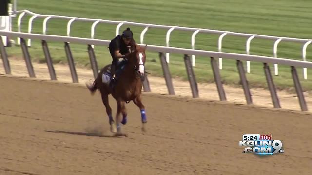 Former Arizona Wildcat Bob Baffert and Justify try for Triple Crown