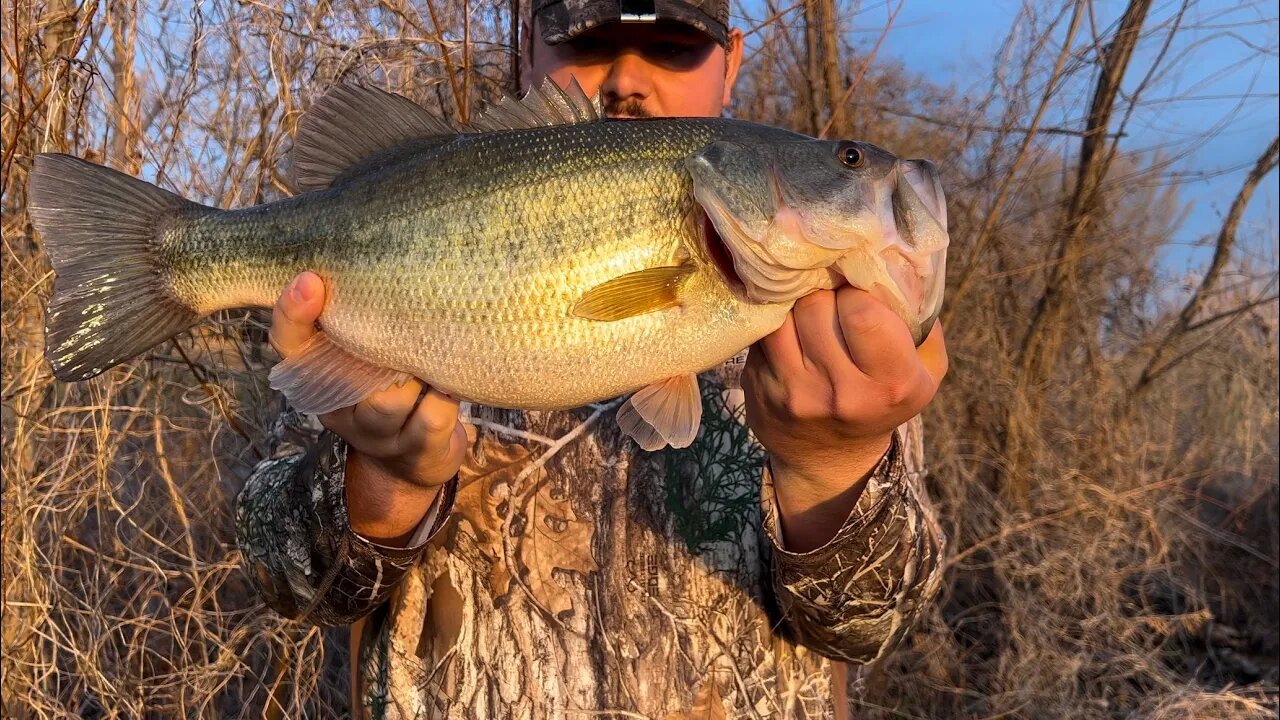 Another 5+ Pounder!