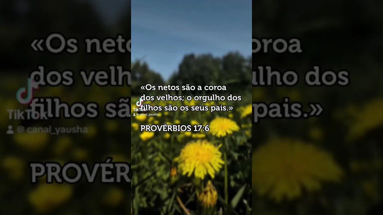 Provérbios 17:6 #canalyausha