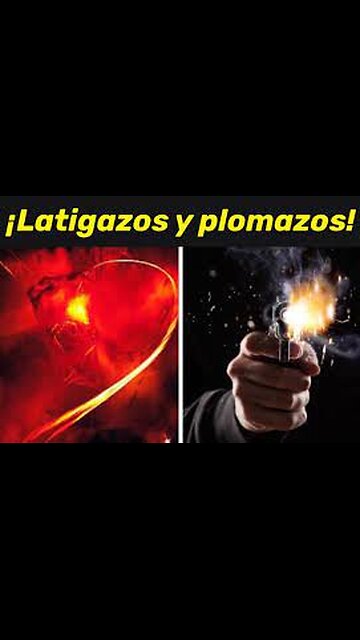 🔥𝗟𝗔𝗧𝗜𝗚𝗔𝗭𝗢𝗦 𝗬 𝗣𝗟𝗢𝗠𝗔𝗭𝗢𝗦🔥