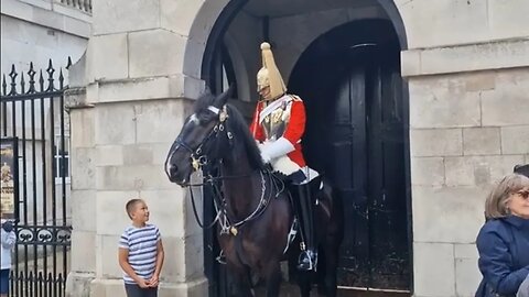 A lovely moment the King's guard encourages young boy to touch the horse #horseguardsparade