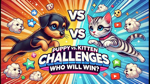 Puppy vs. Kitten Challenges – Who Will Win?"