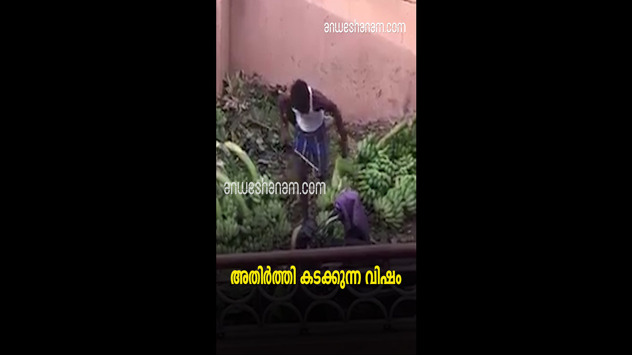 അതിർത്തി കടക്കുന്ന വിഷം