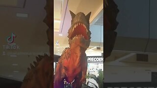 Gosta de Dinossauro?