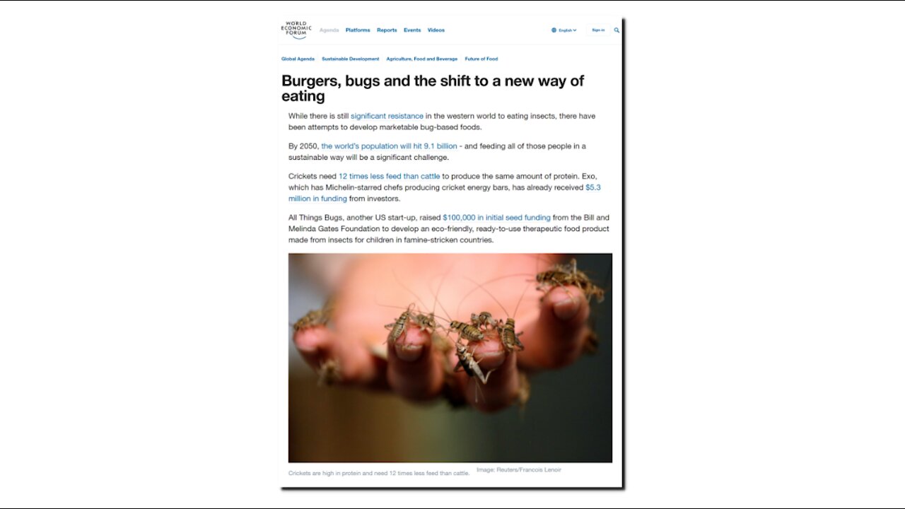 Let Them Eat Bugs