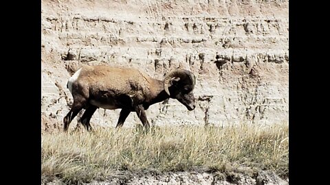 The Badlands South Dakota