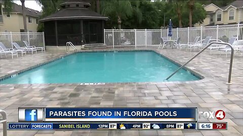 Florida counties investigating cases of cryptosporidium parasite in pools