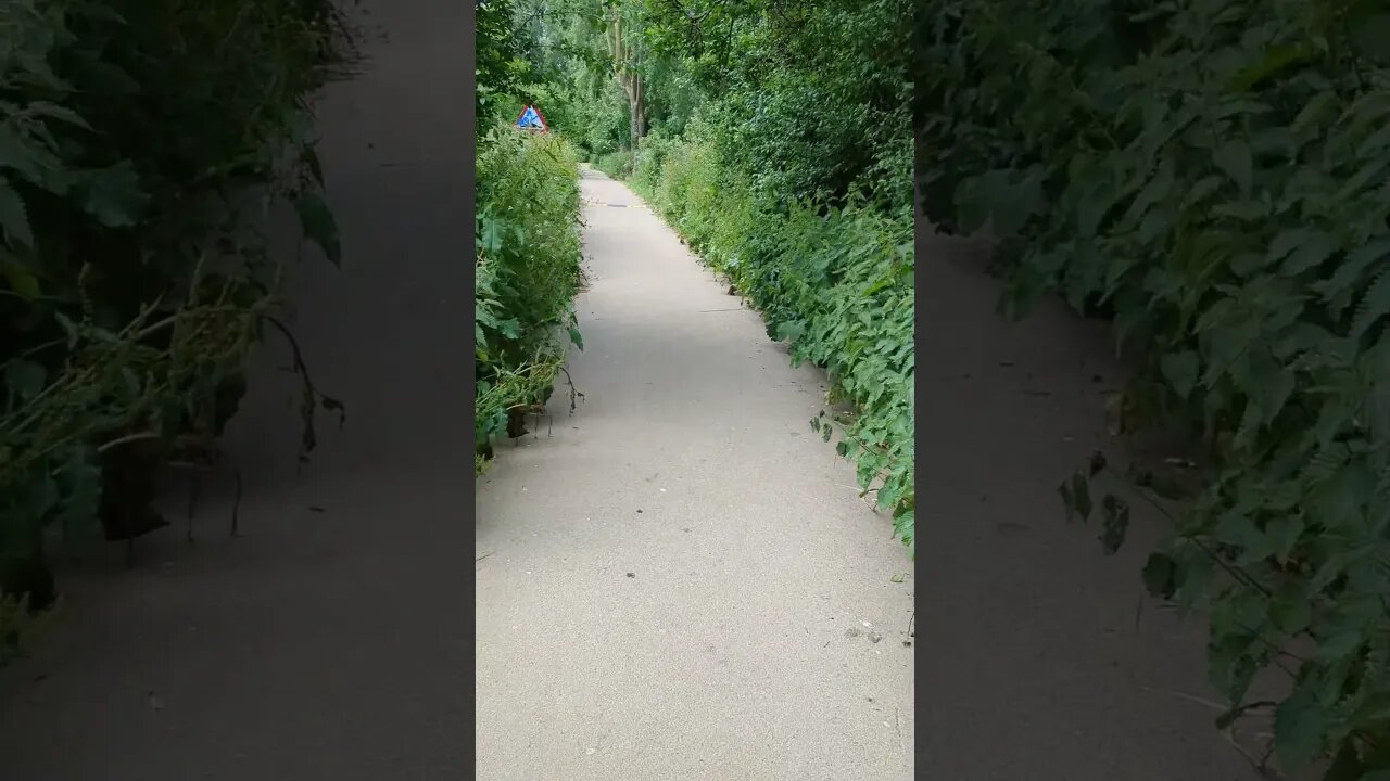 When your wife spots an animal on your adventure! #fyp #nature #shorts