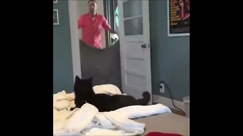 man plays a trick on a cat so the cat plays a trick on him
