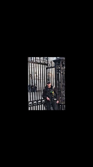 Horse plays up #horseguardsparade