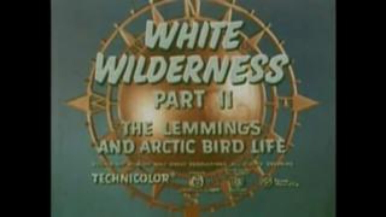 Disney - White Wilderness Part 2: The Lemmings And Arctic Bird Life (1958)