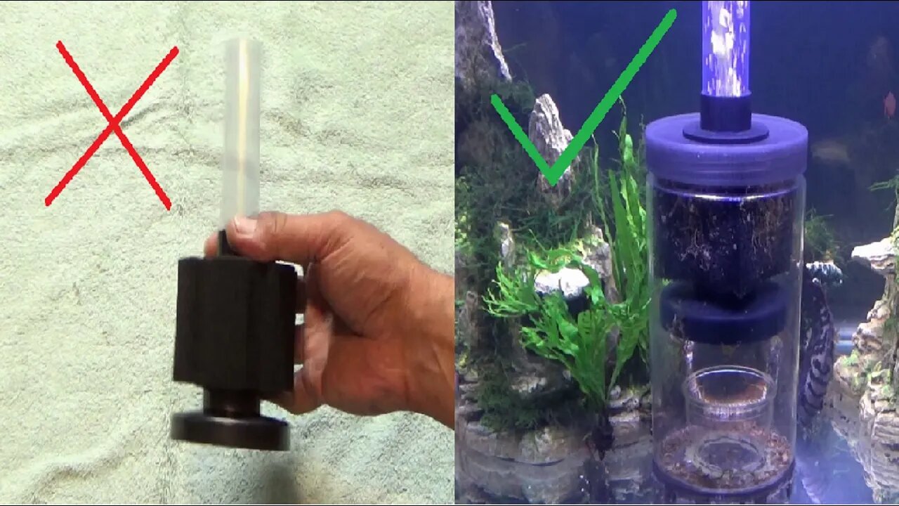 Sponge Filter Super Cool Modified