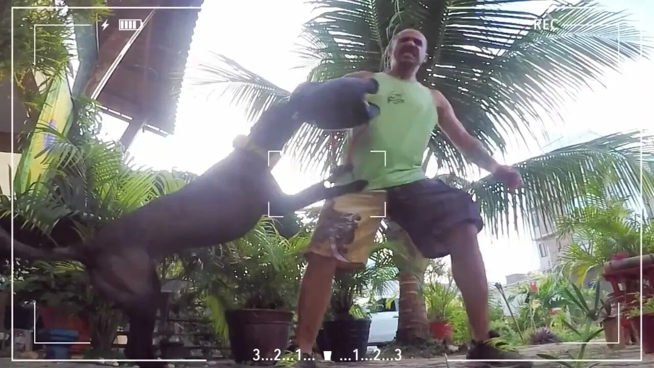 TREINO DE LARGAR: 'AUUZZ"