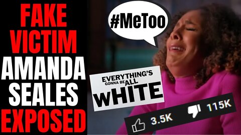 Everything's Gonna Be All White's Amanda Seales EXPOSED | History Of False Allegations