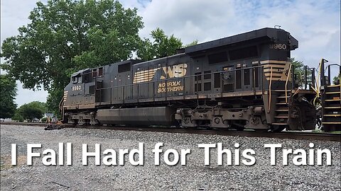 Man falls while videoing Train