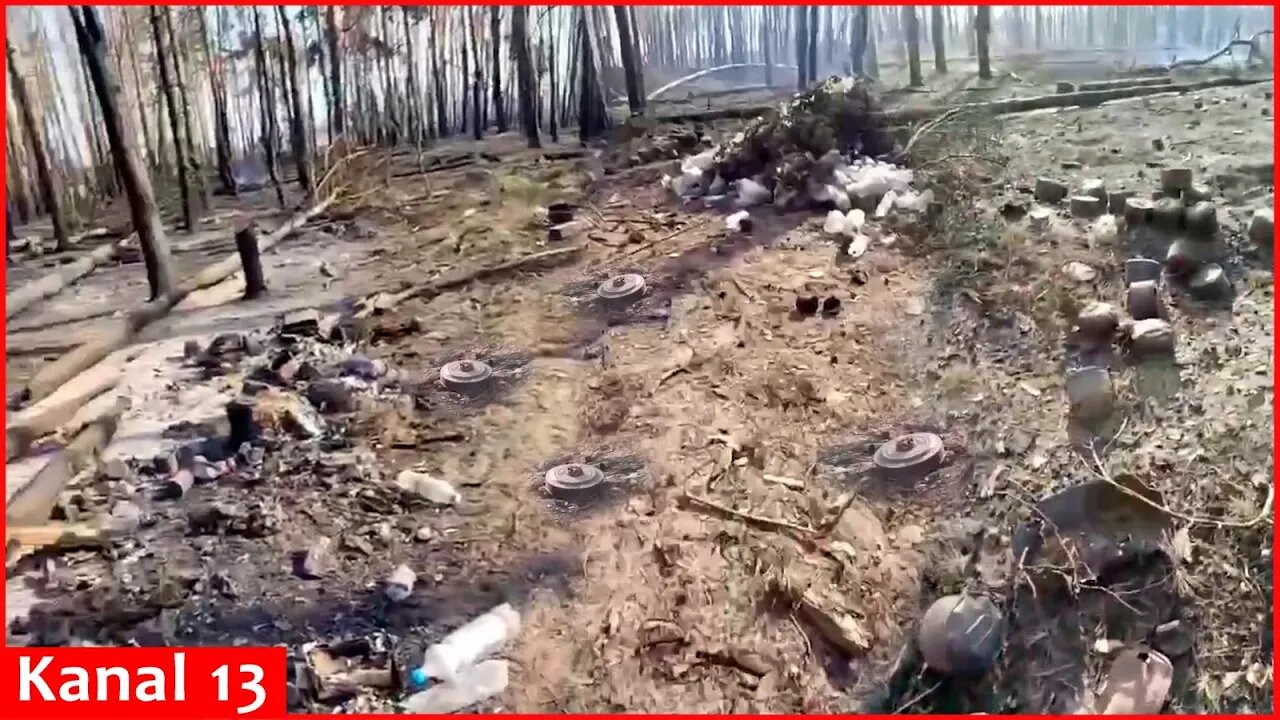 Russian military position in forest burns in Ukrainian attack