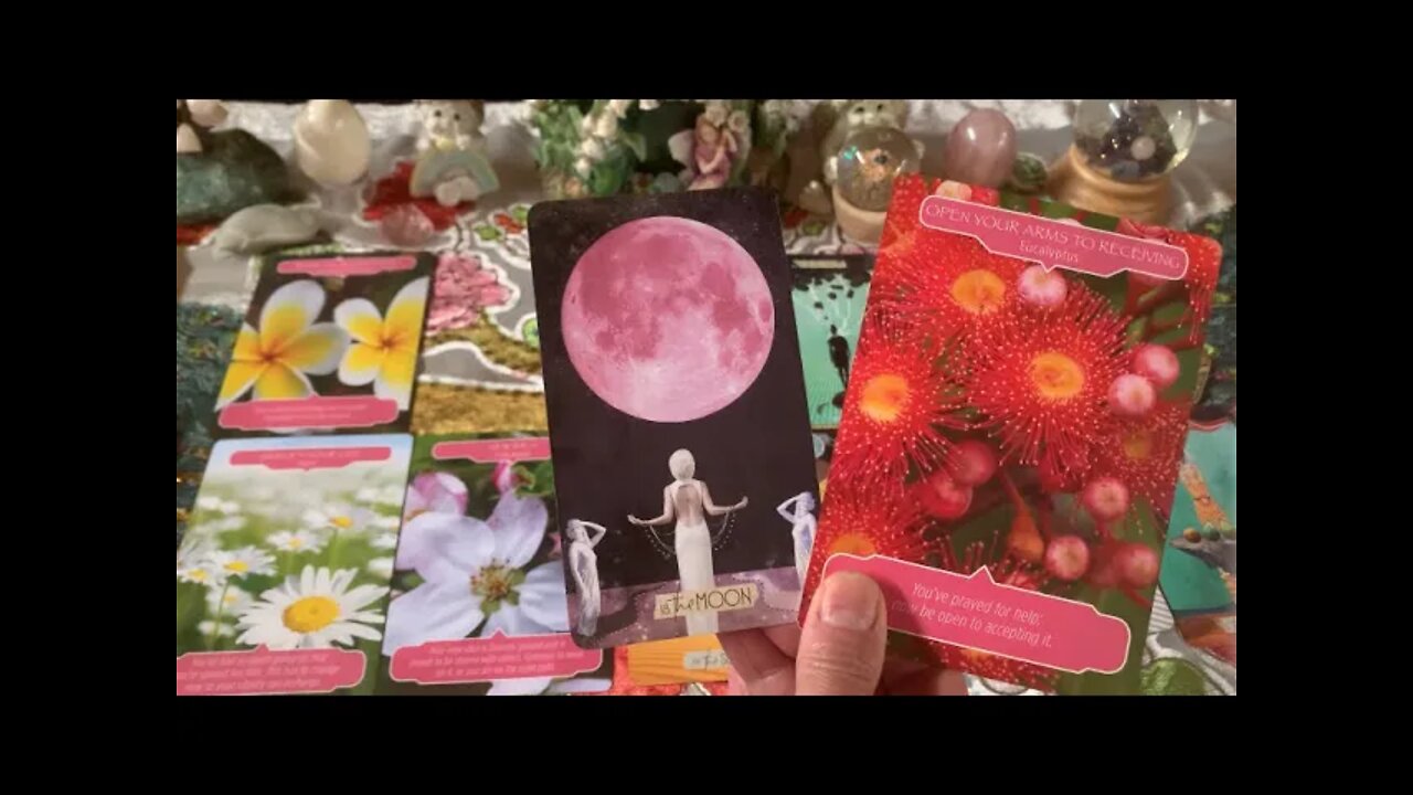 Cancer ♋️ “Soul Food ~ Raising Your Vibration!” 🦋 April Tarot, Aura, Love, & Flower Reading. 🌼