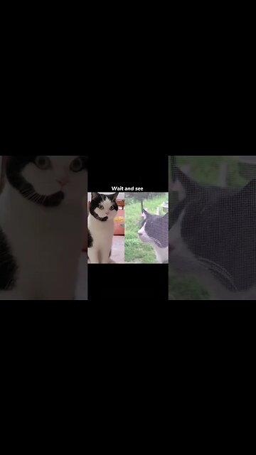 Call Center Is Getting Busy